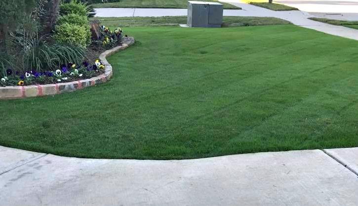 Photo of The Chowtreez Landscaping Full Lawn Services