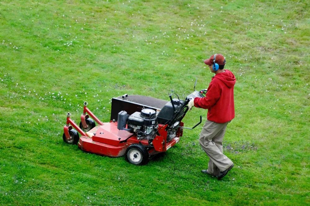 Photo of VIP LAWN CARE