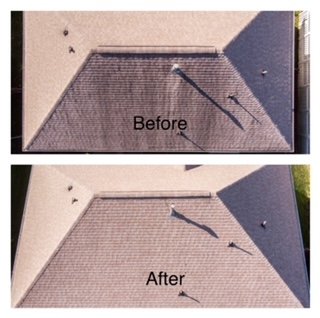 Photo of Green Side Pro Wash