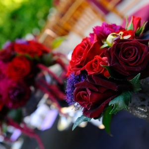 Photo of Seven Stems