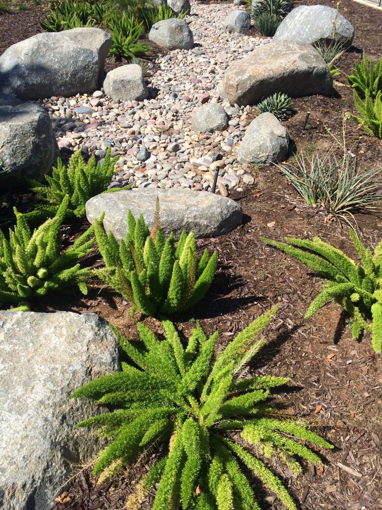 Photo of Allison Landscaping