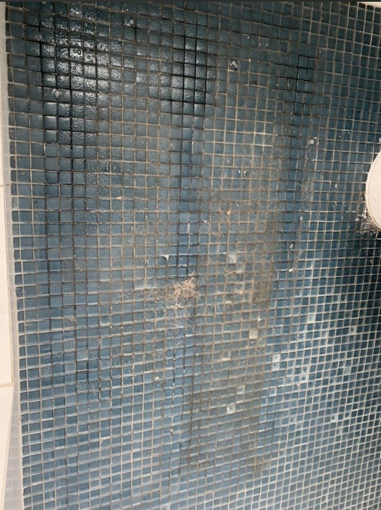 Photo of Flash Pro Cleaning