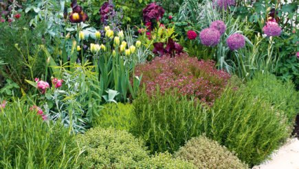 Photo of Daniel's Lawn and Garden