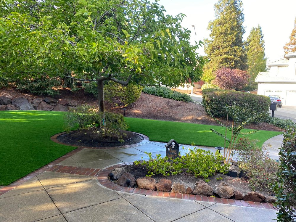 Photo of Bay Area Turf