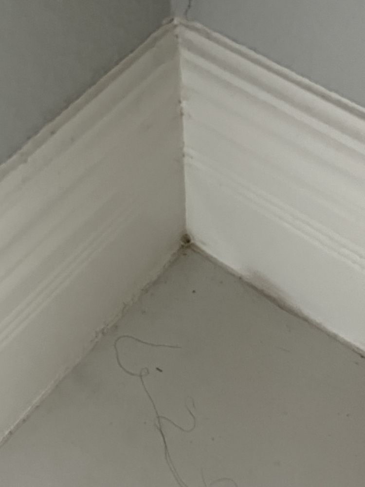 Photo of Clean Swipe EP