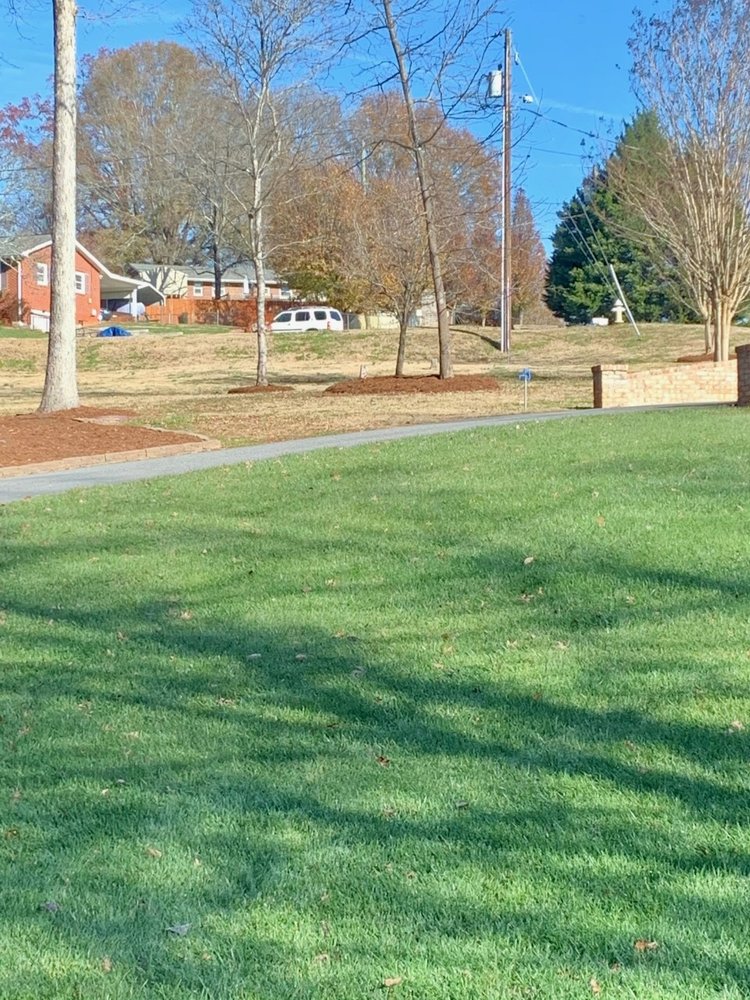 Photo of Tailor Made Lawns