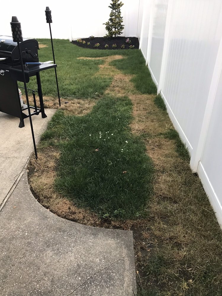 Photo of Emerald Magic Lawn Care