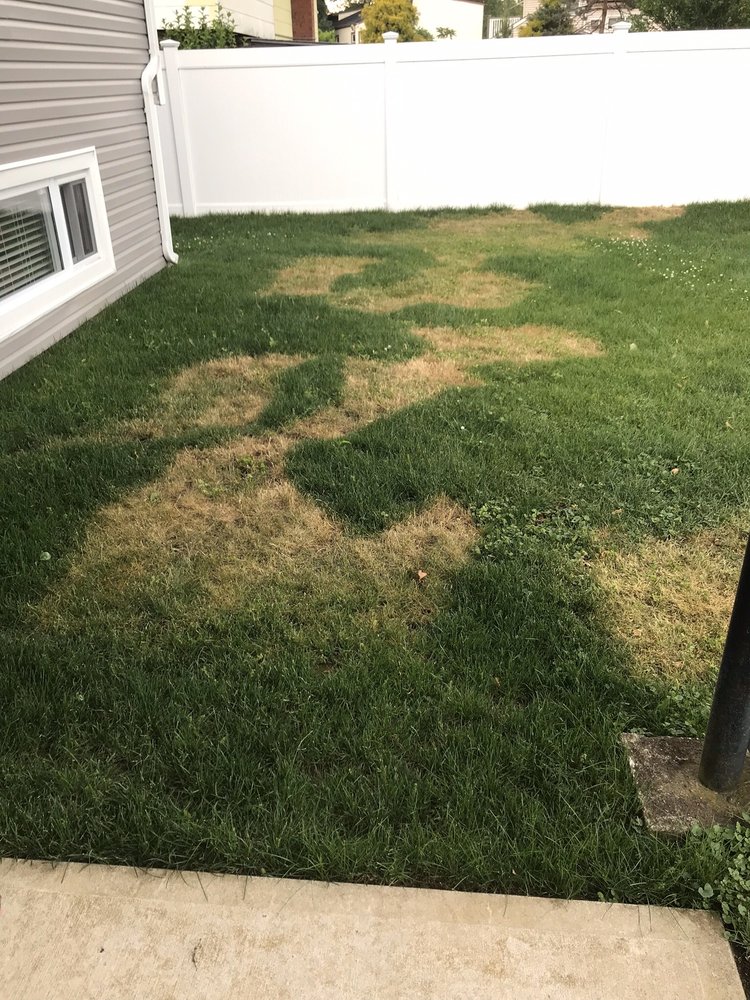 Photo of Emerald Magic Lawn Care