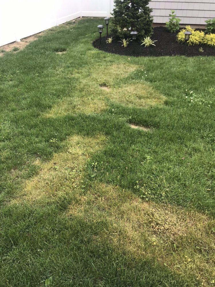 Photo of Emerald Magic Lawn Care