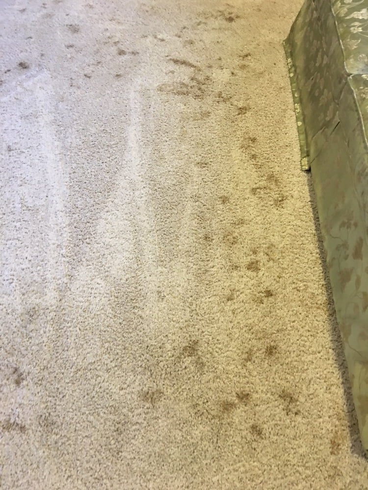 Photo of Tacoma Cleanpro