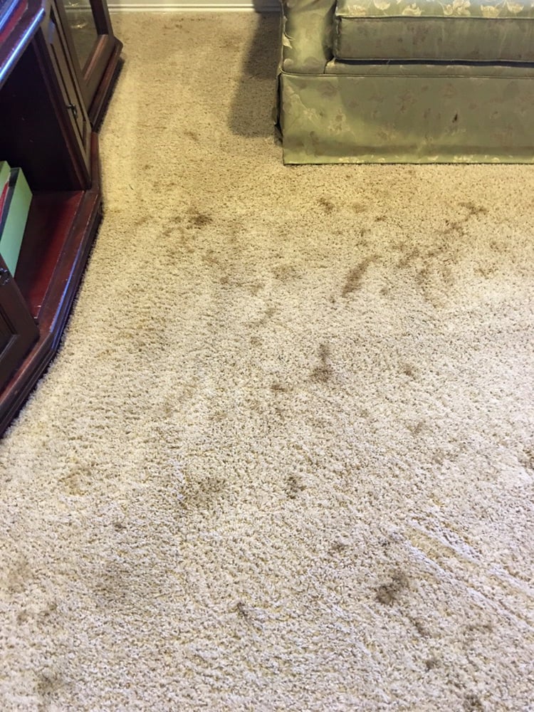 Photo of Tacoma Cleanpro