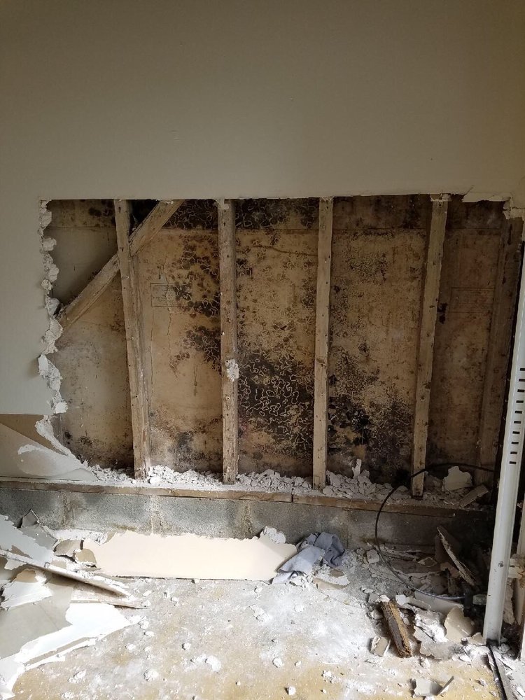 Photo of Mold Masters Inc - Glendale
