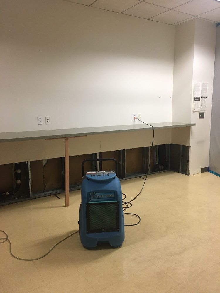 Photo of Mold Masters Inc - Glendale