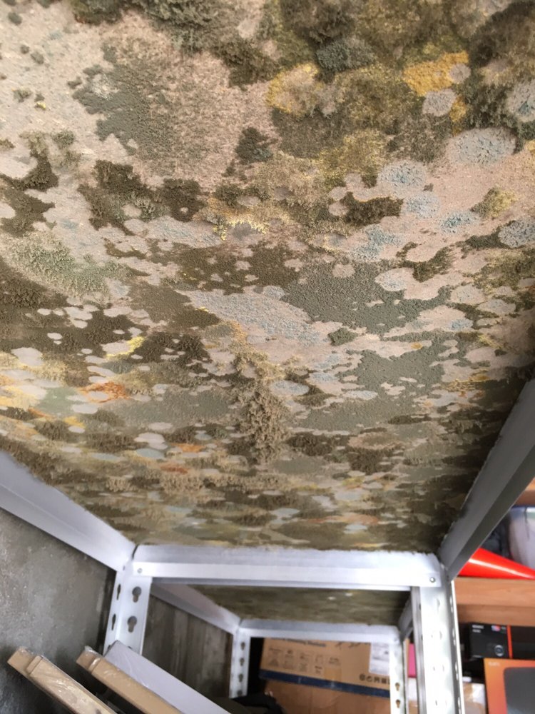Photo of Mold Masters Inc - Glendale