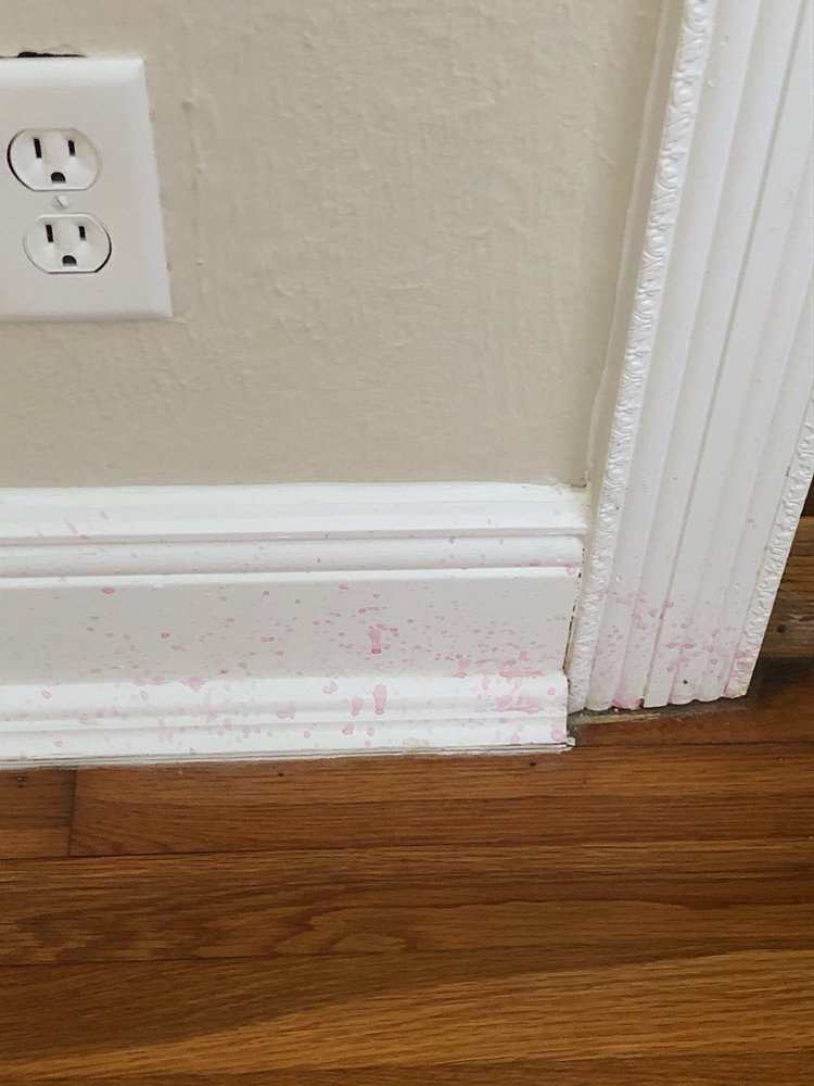 Photo of Sonise Cleaning Services