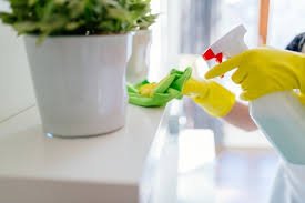 Photo of Sonise Cleaning Services