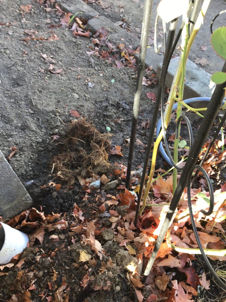 Photo of The Rooter Works Plumbing and Drains