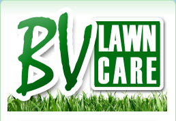 Photo of BV Lawn Care