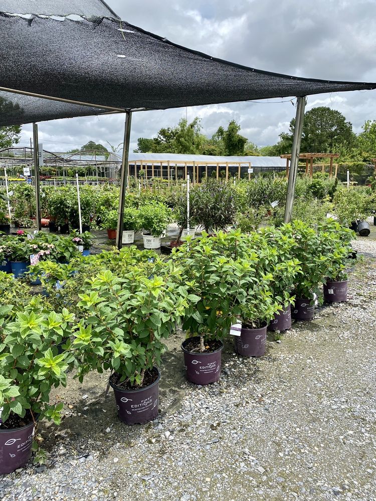 Photo of Banting's Nursery