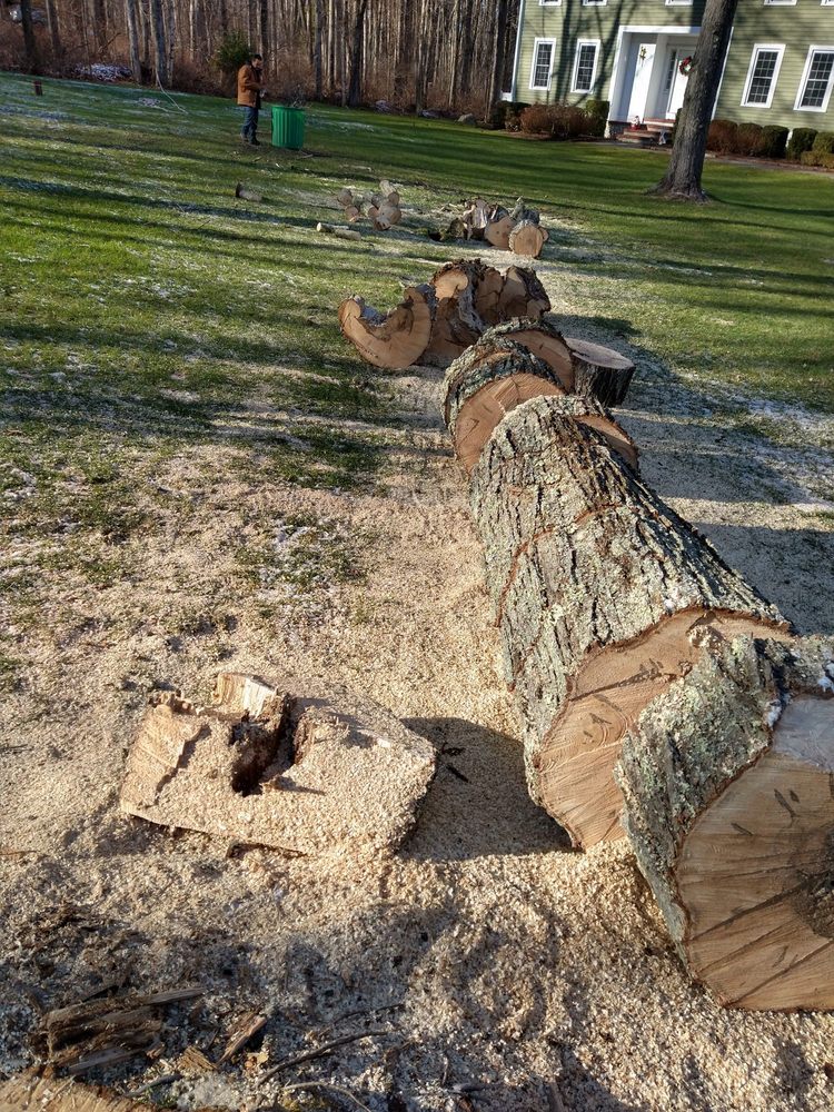 Photo of Jimys Landscaping Masonry Tree Service
