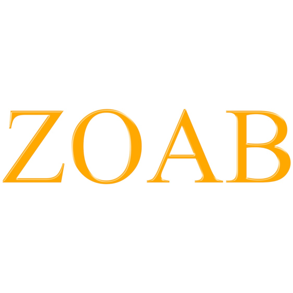 Photo of Zoab Painting