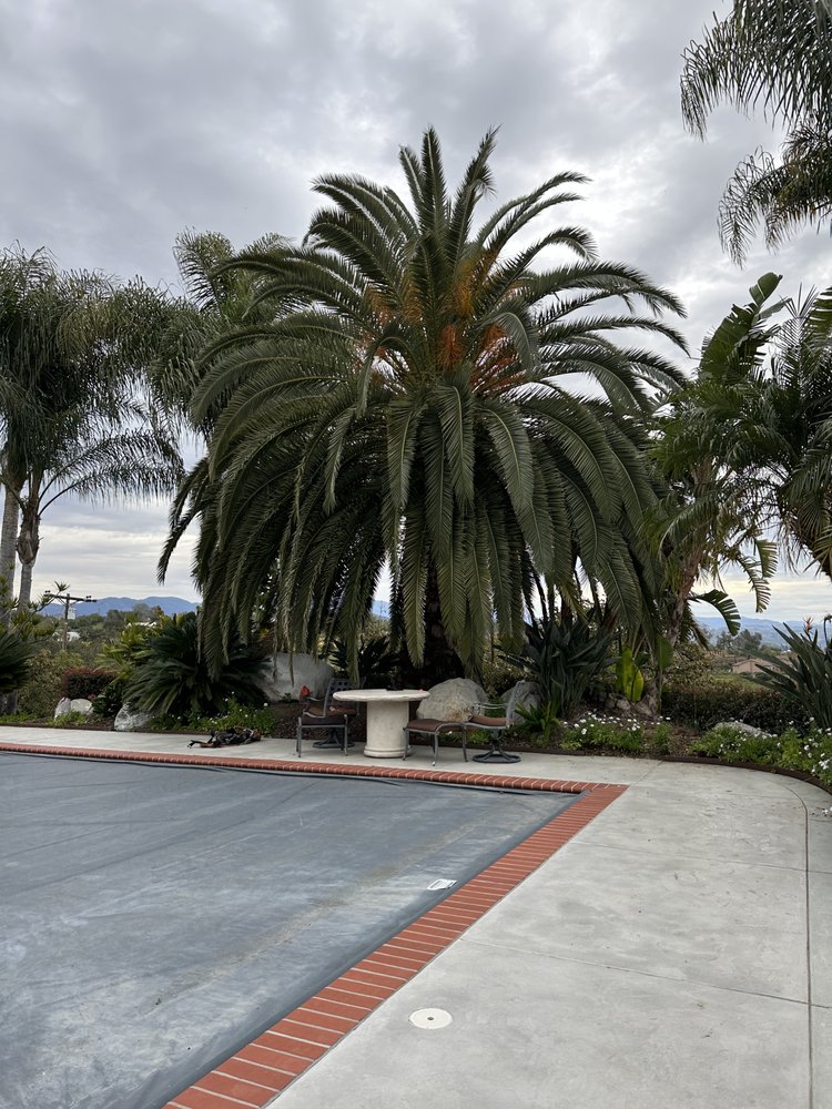 Photo of MG's Tree Service & Landscaping