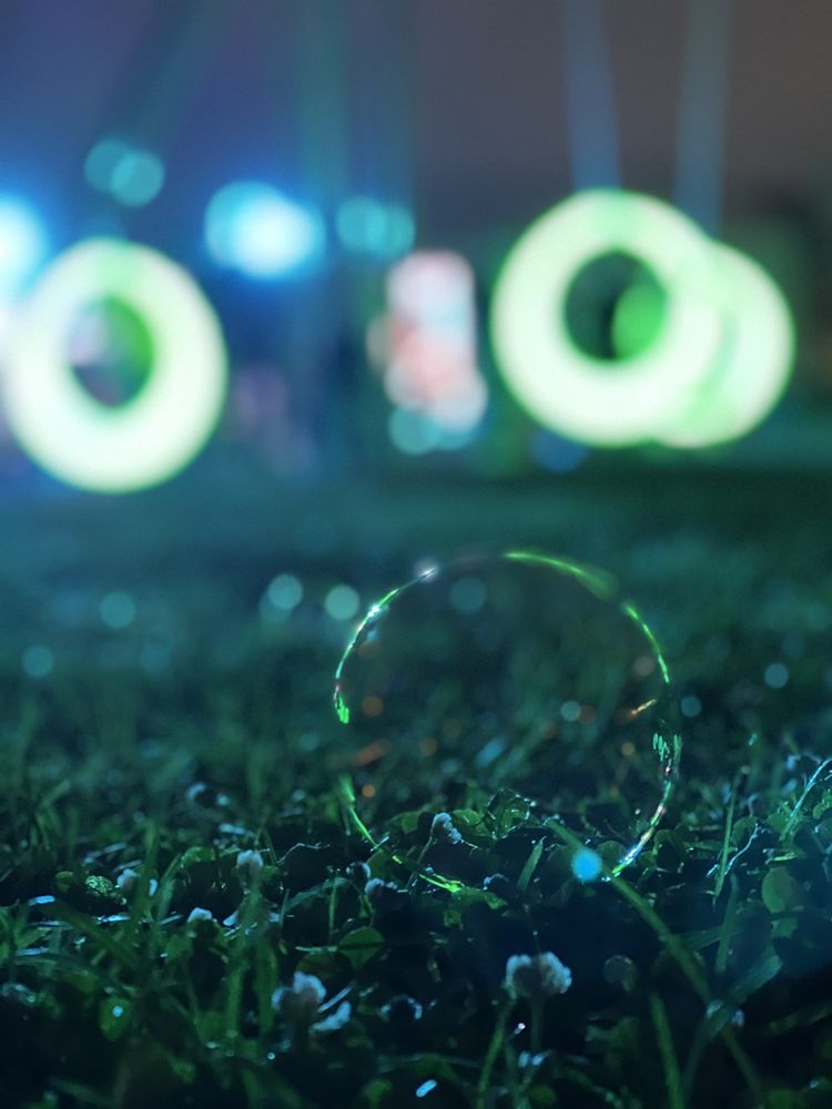 Photo of The Lawn On D