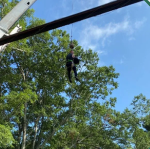 Photo of Addison Tree Care