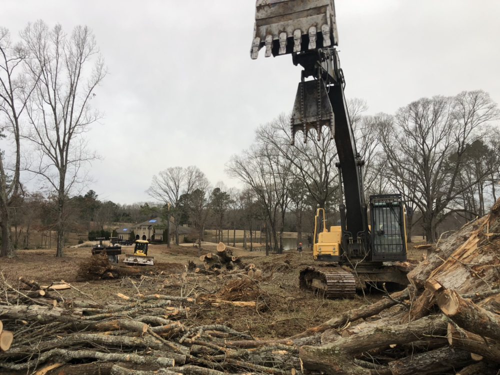 Photo of Addison Tree Care