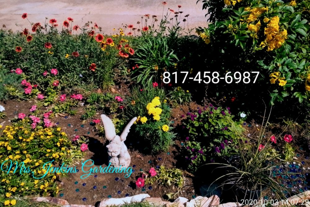 Photo of Mrs Jenkins Gardening