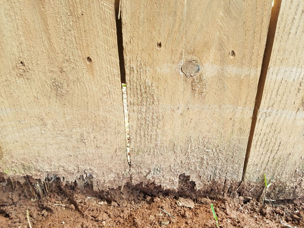 Photo of Premier Fence