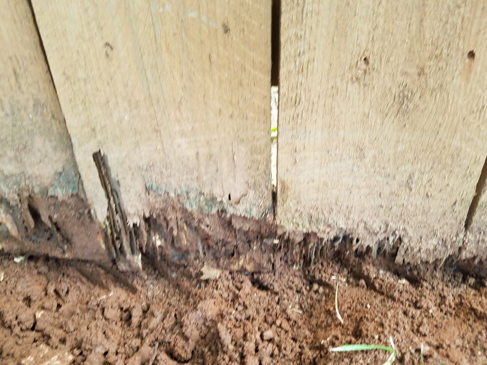 Photo of Premier Fence