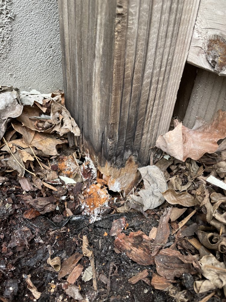 Photo of Premier Fence