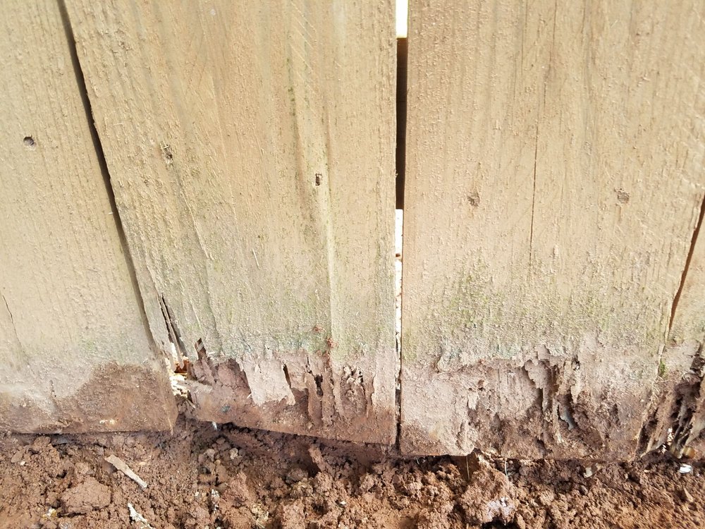 Photo of Premier Fence