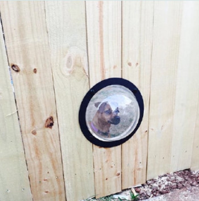 Photo of Fence Pro