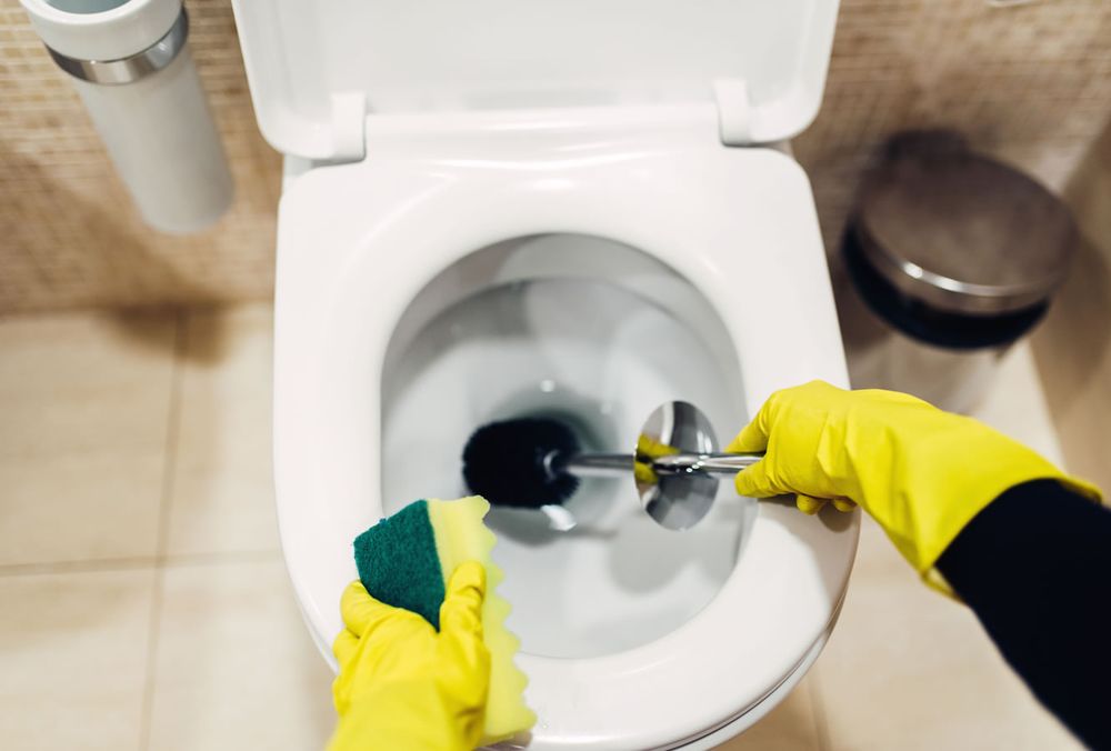 Photo of Daash Cleaning Service in San Francisco