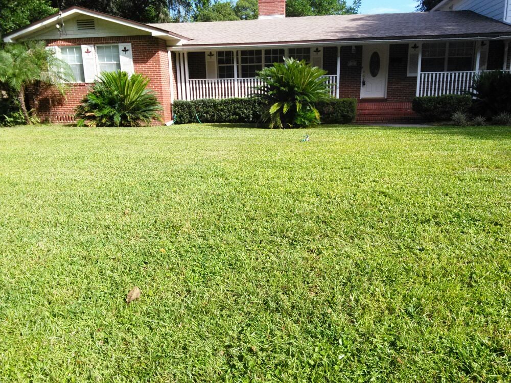 Photo of Clarity Pools and Lawns