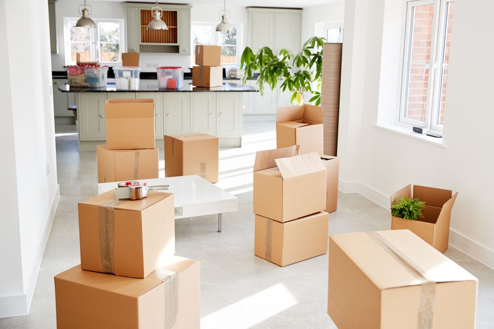 Photo of Carolina Moving Solutions
