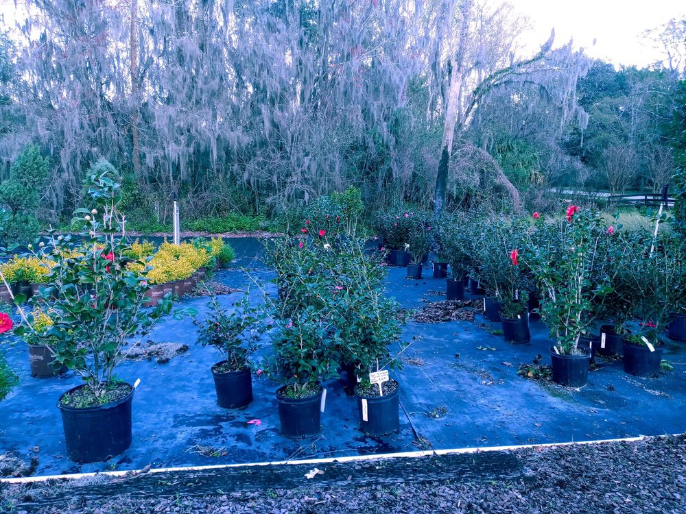 Photo of Hickory Creek Nursery & Landscaping