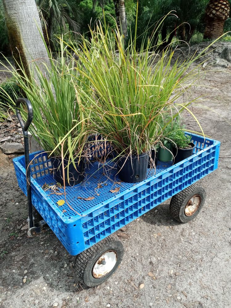 Photo of Hickory Creek Nursery & Landscaping