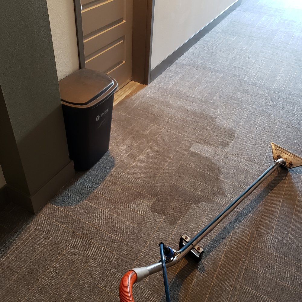 Photo of California Carpetpros