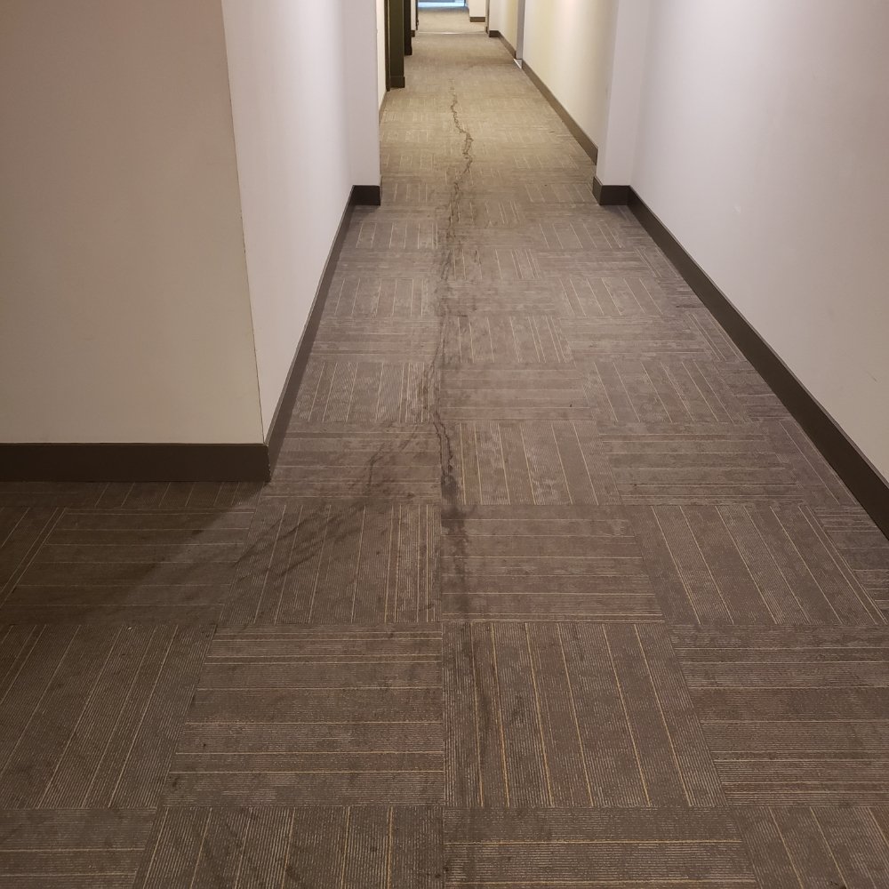 Photo of California Carpetpros