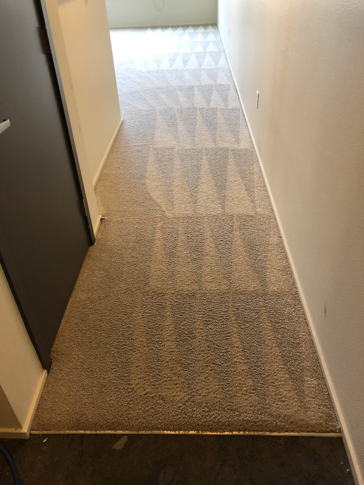 Photo of Naked Carpets
