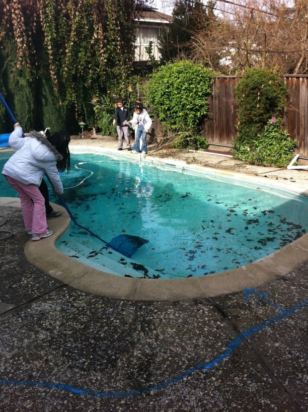 Photo of Richie Bobcat Pool Removal Service