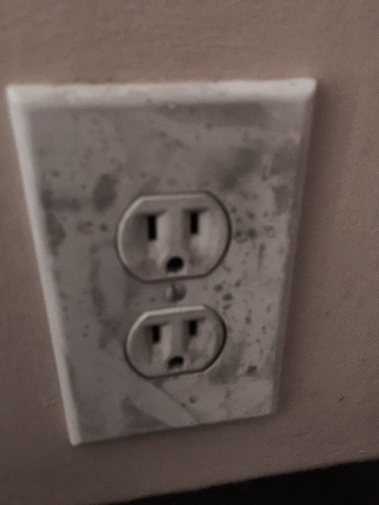 Photo of Briggs Floor Care