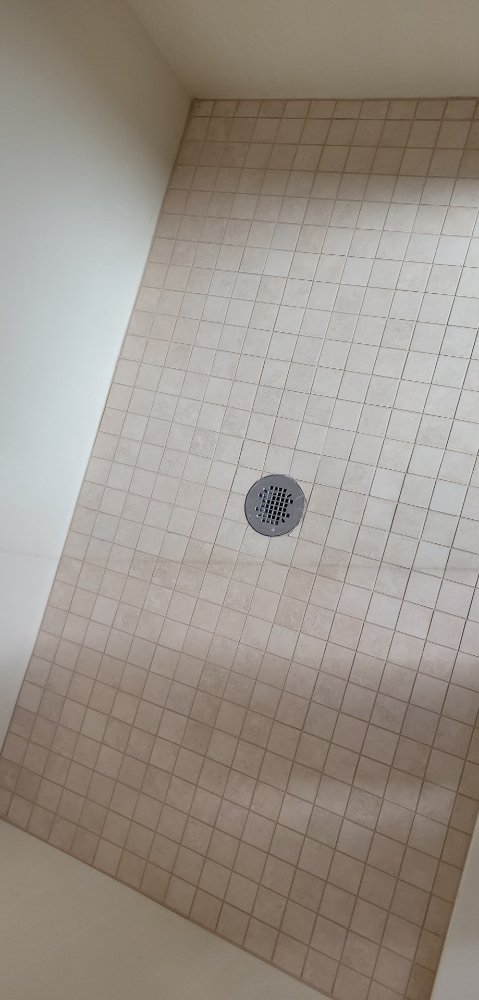 Photo of Dream Steam Carpet Clean