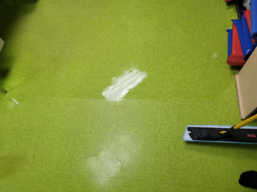 Photo of Dream Steam Carpet Clean