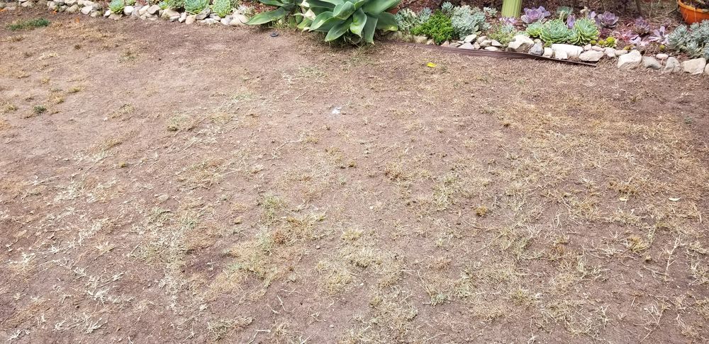 Photo of Jus Turf Synthetic Grass & Supplies