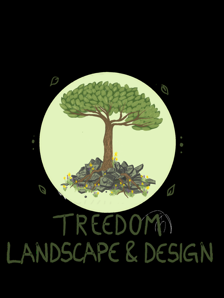 Photo of Treedom Landscape and Design