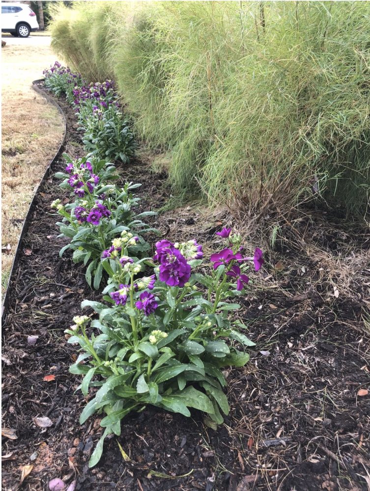 Photo of Austin Garden Pros